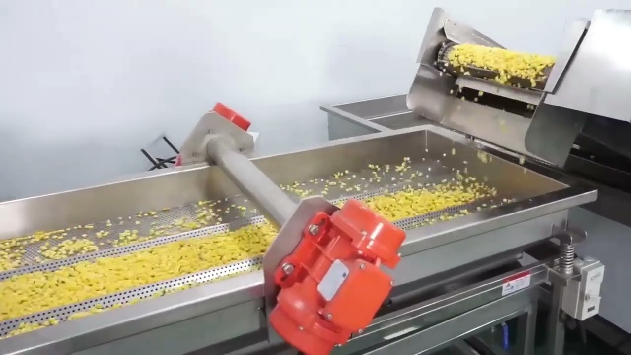Corn Kernels production line Thresher cleaning machine #cornmachine