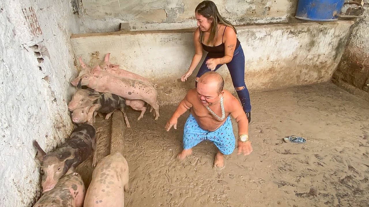 PILILIU SE DÁ MAL NA PEGA DOS PORCOS  🐷