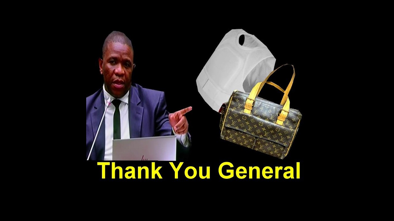 Генерал Мхванази наконец-то заговорил о сумках Louis Vuitton и дорогих бронежилетах. Смотрите это...