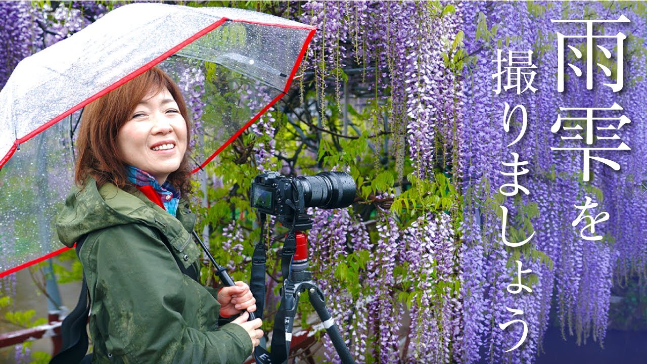 【雨々とれとれ♪】最適なシャッター速度＆ビニール傘活用法🌸