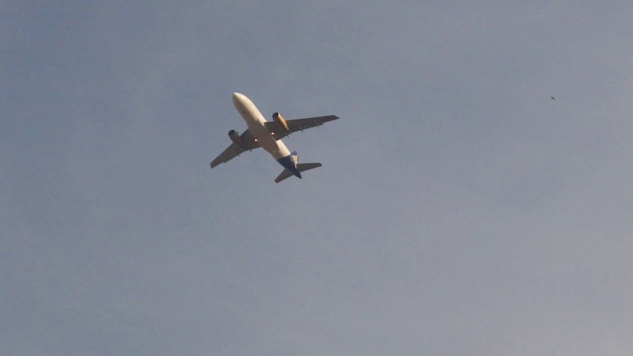 Shaheen Air International - Airbus A319