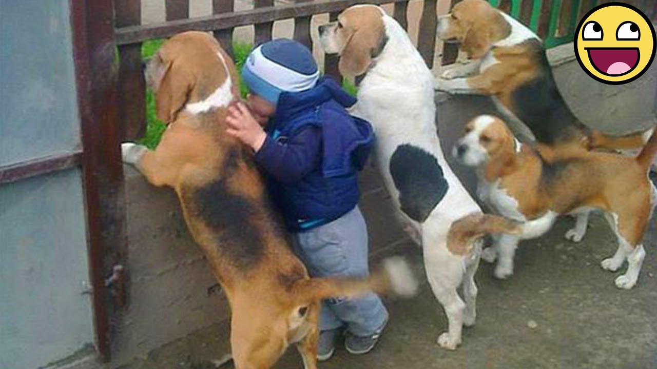 Когда твоя малышка растет в окружении своих лучших друзей 🐶❤️