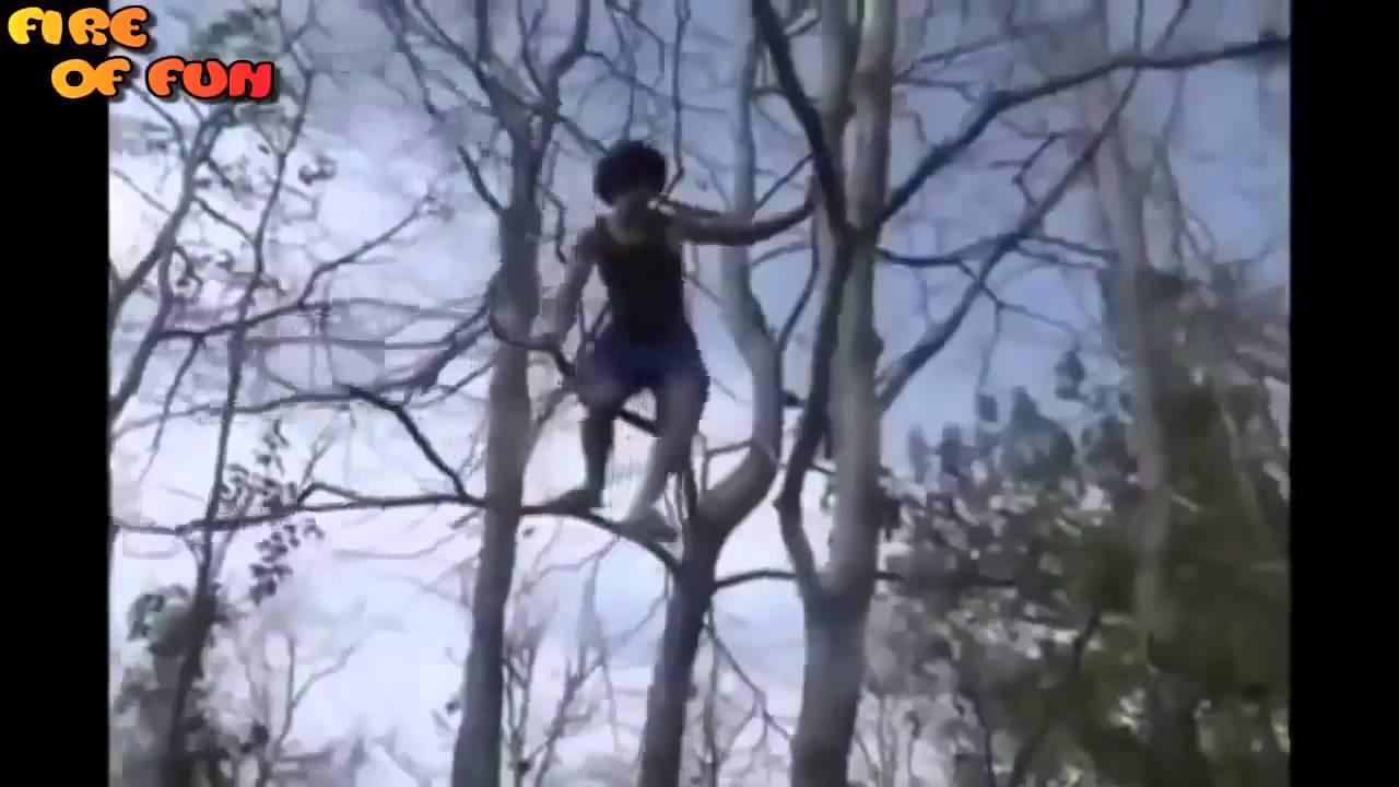 Funny Videos 2015   People Are Stupid   Super Crazy Fails | funny baby fails