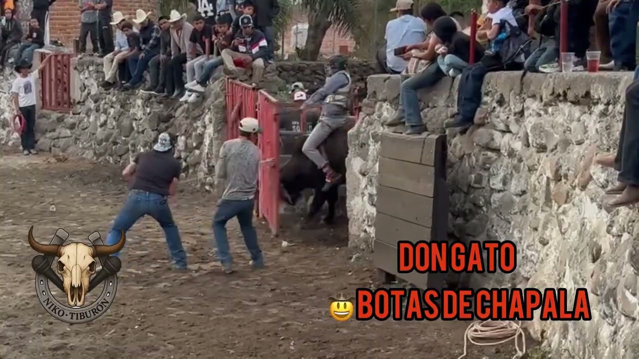Bonito JARIPEO en Mezcala de la asunción con los toros explosivos pura dinamita 