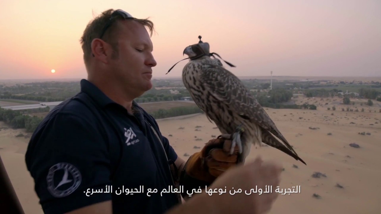 MYLAND | Land Rover | World-First Hot Air Balloon Falconry Adventure Documentary