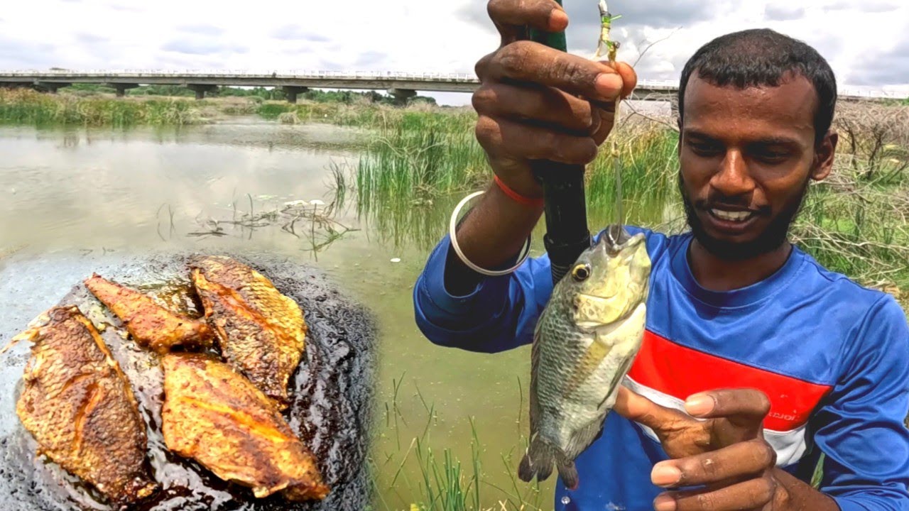 Thoondil Fishing at River | ஜிலேபி மீன் புடுச்சு வறுக்க போறோம் #fishcatching&Cooking
