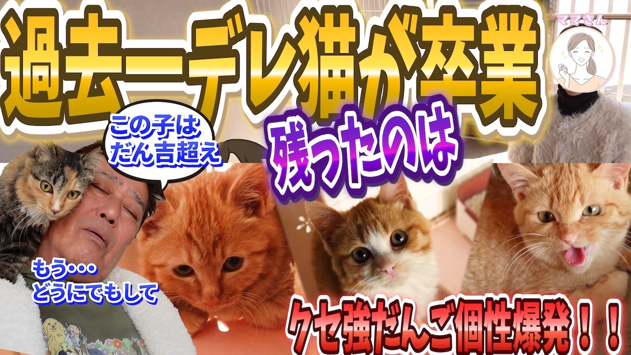 過去一デレ猫ついに卒業！残ったのはクセ強だんご三兄弟