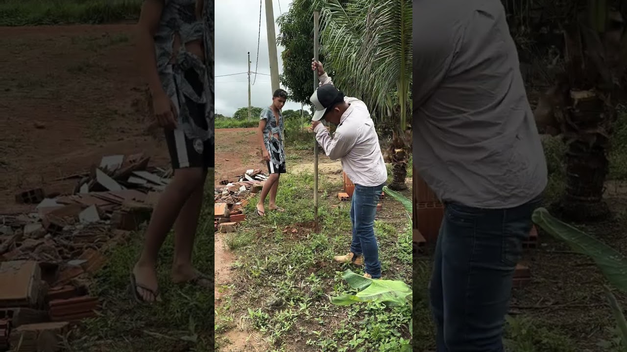 O espiga querendo dinheiro é-o piriquito não paga ele #humor #ideiasbrilhantes #comedia 