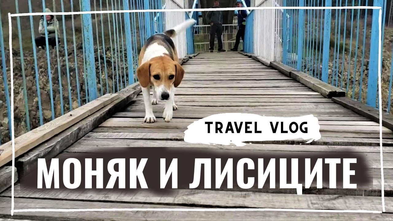 Как минахме със Зара по въжения мост към село Лисиците и изкачихме крепостта Моняк през ноември