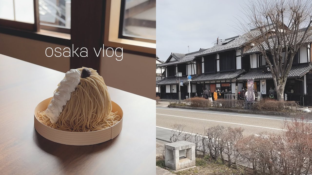 VLOG 오사카 직장인 일상 브이로그 - 히코네 당일치기(히코네성, 유메쿄바시캐슬로드), WBC 연습경기 관전(feat. 오타니), 교토 동양정 본점