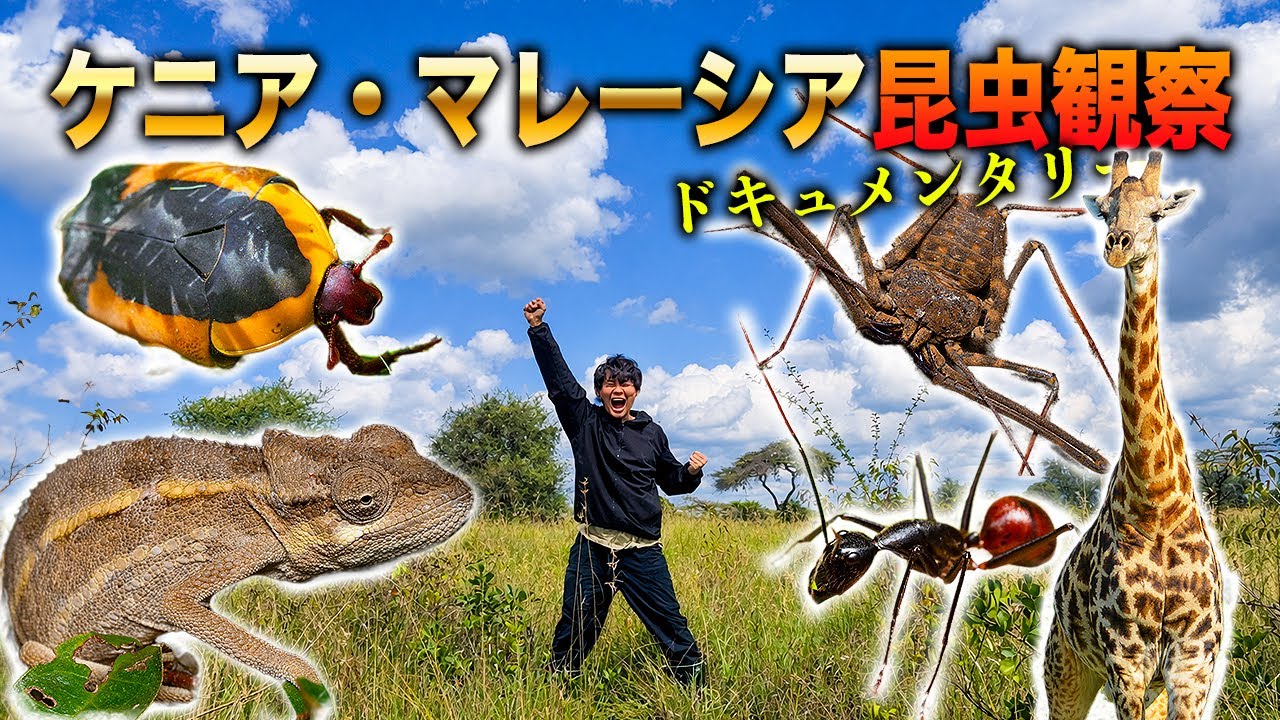 ケニアとマレーシアでとんでもない生物観察をせよ！[ケニア&マレーシアドキュメンタリー2025]