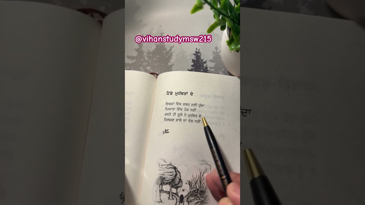 punjabi shayari book #books