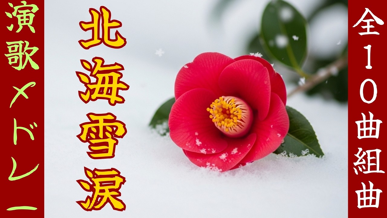 【昭和演歌メドレー】【北海雪涙】〜コンセプトアルバム。哀愁のメロディー (歌詞付き)〜Japanese Enka song