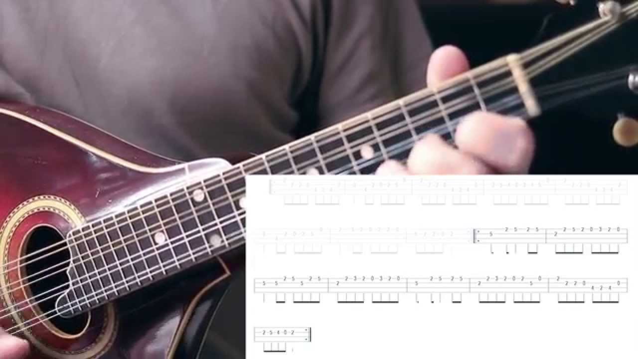 Irish mandolin lessons. The Otter's Holt (reel)