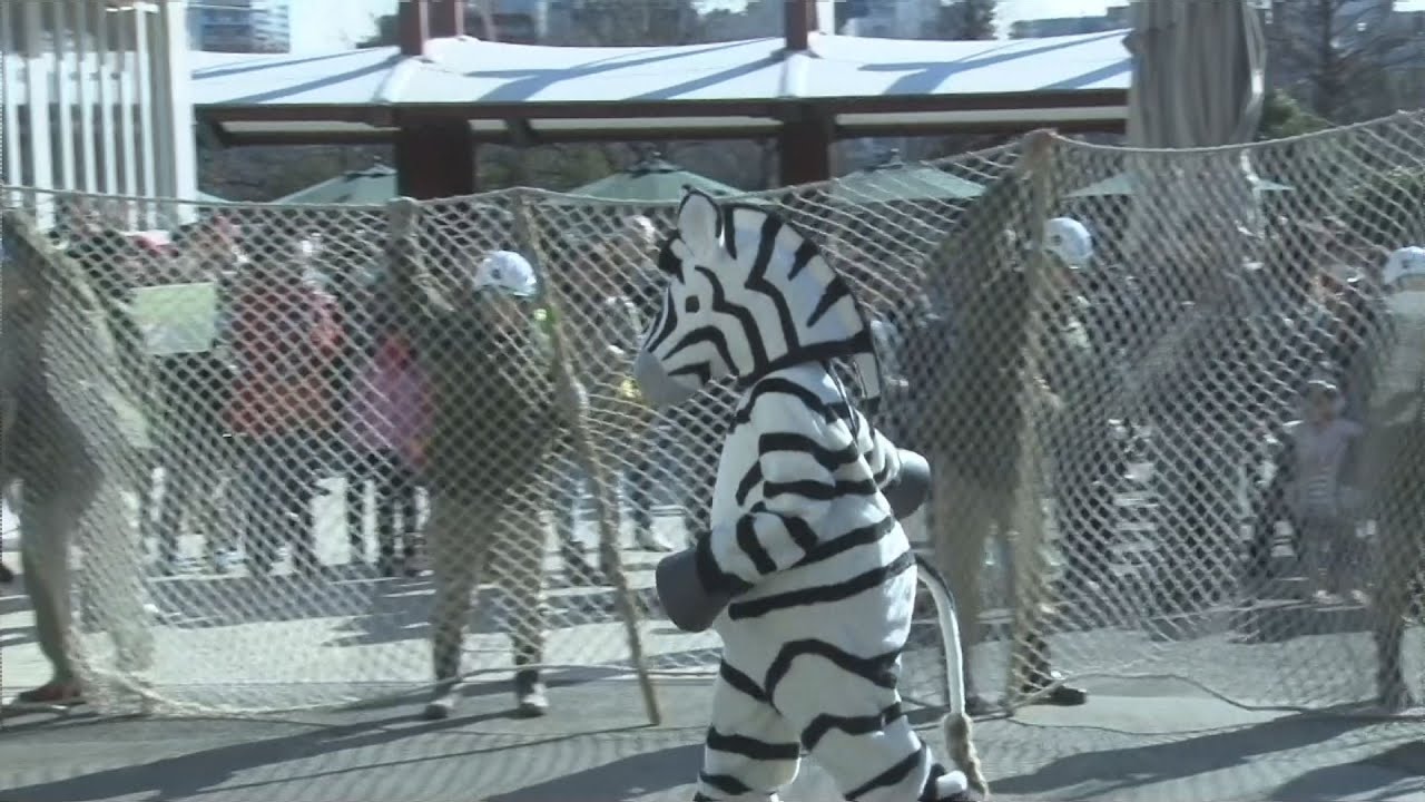 地震でシマウマが逃亡？ 上野動物園で捕獲訓練