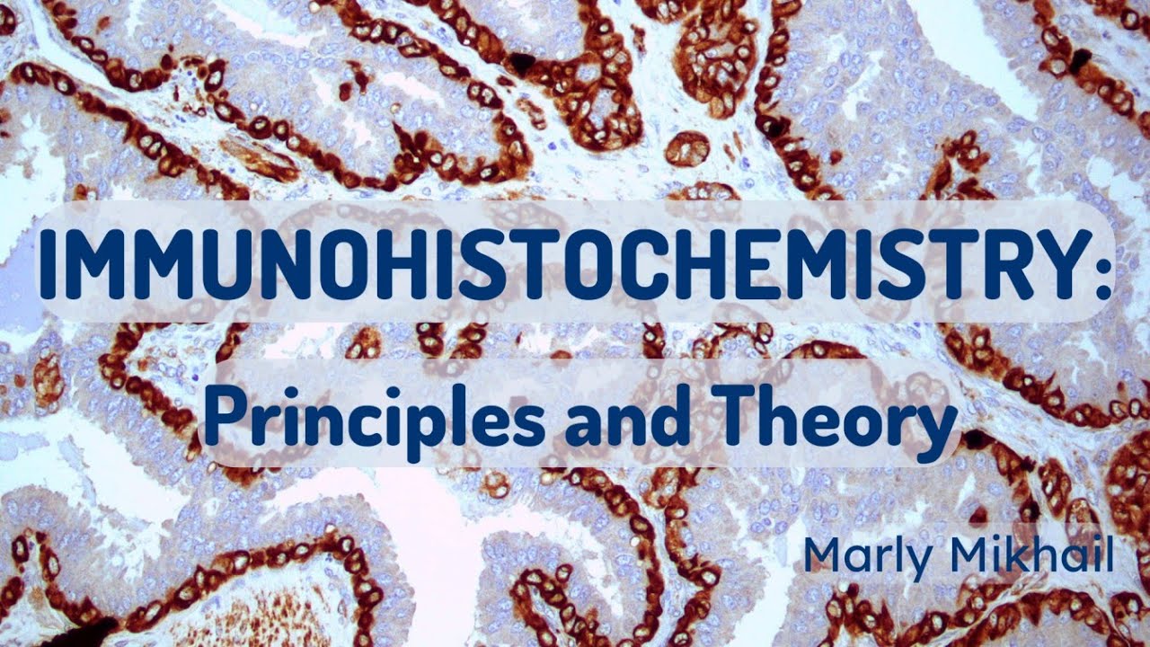 Immunohistochemistry: Principles and Theory