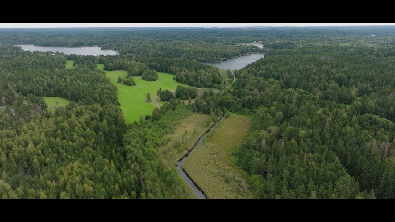 Catena stöttar åtgärder för mer fisk i Östersjön