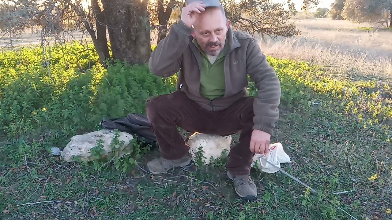 cortando setas con la navaja GIRODIAS 108