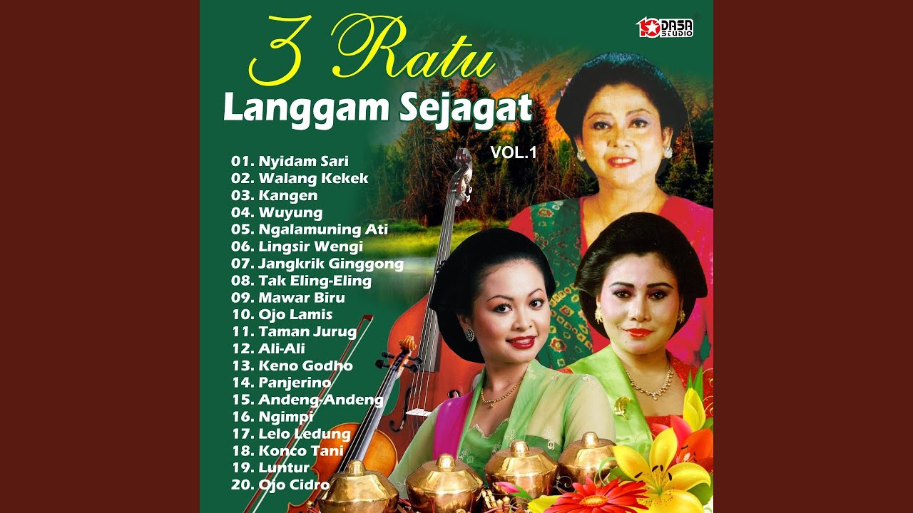Nyidamsari