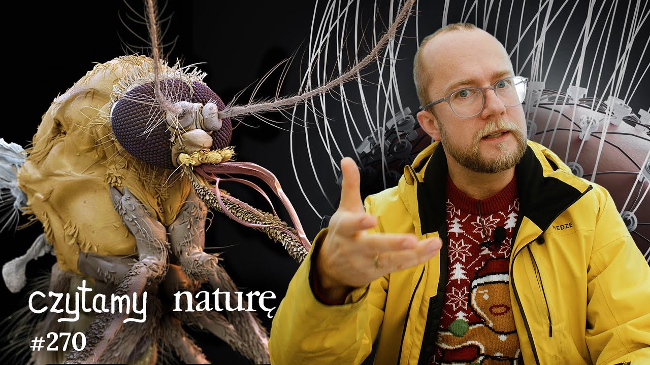 Wypalenie w m&oacute;zgu - Matematyczne megastruktury pre-Ink&oacute;w - Druk 3D ssawką komara | CN #270