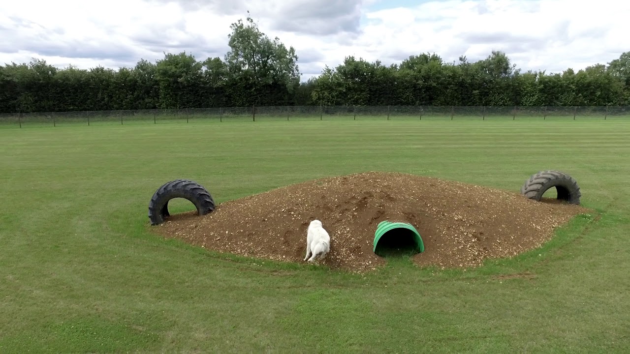 Secure Dog Walking field (client video)   www.epsecuredogwalkingfield.co.uk