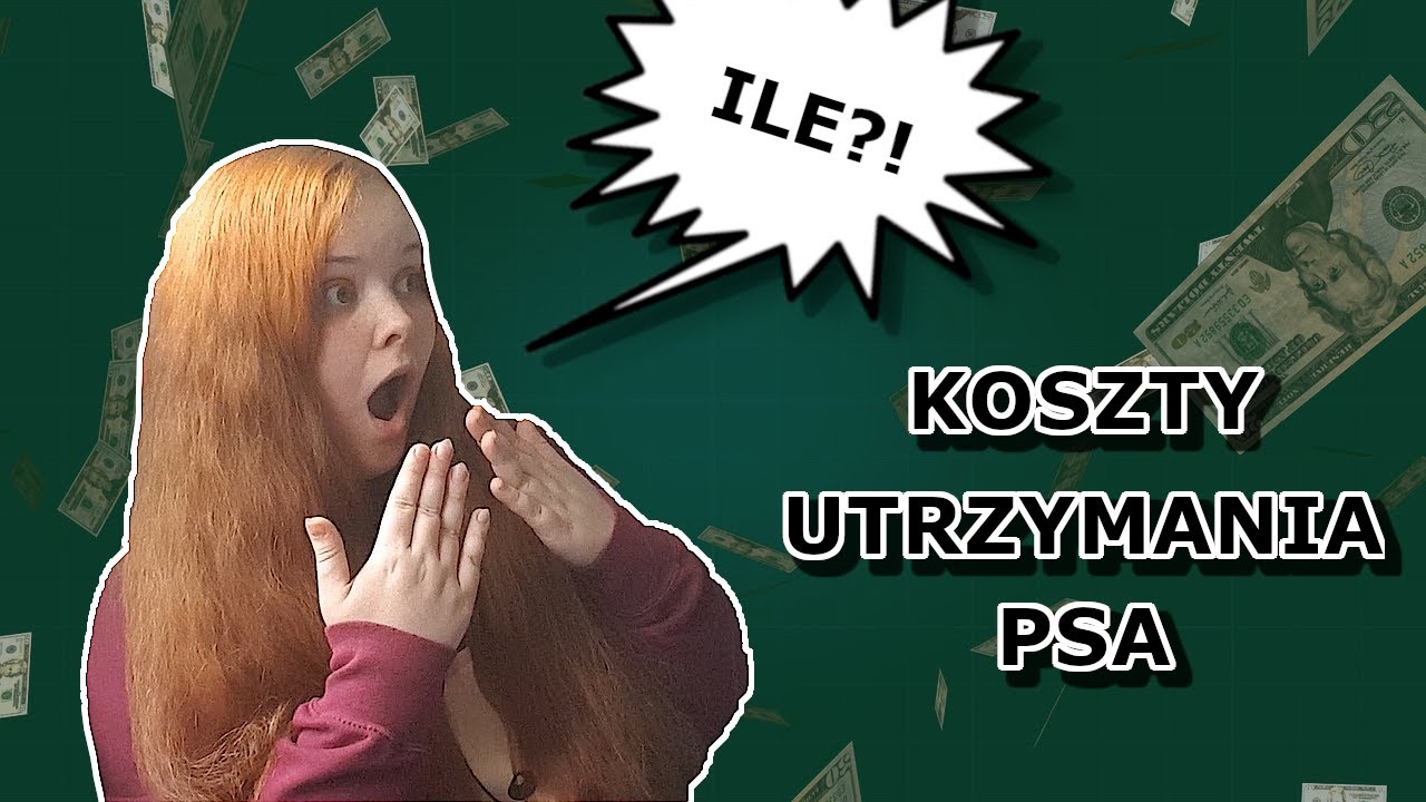 ILE KOSZTUJE UTRZYMANIE PSA? 💸 Wszystko, co chcesz wiedzieć! 🐾