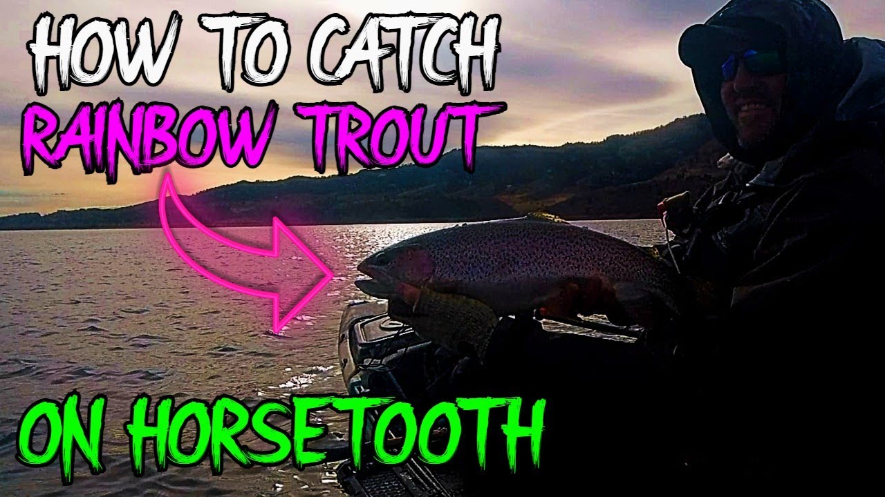 How To Catch BIG Rainbow Trout On Horsetooth Reservoir!