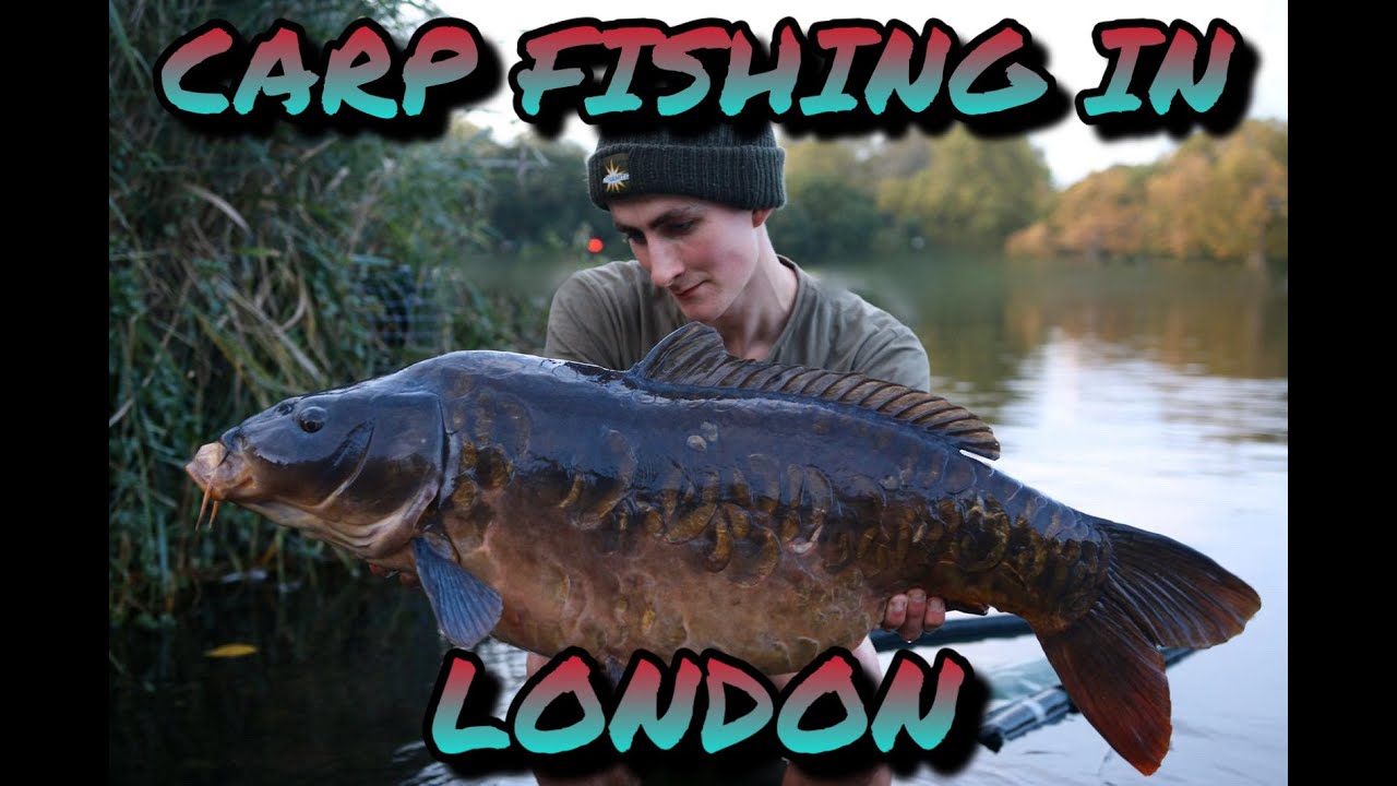 CARP FISHING IN LONDON - PARK LAKES