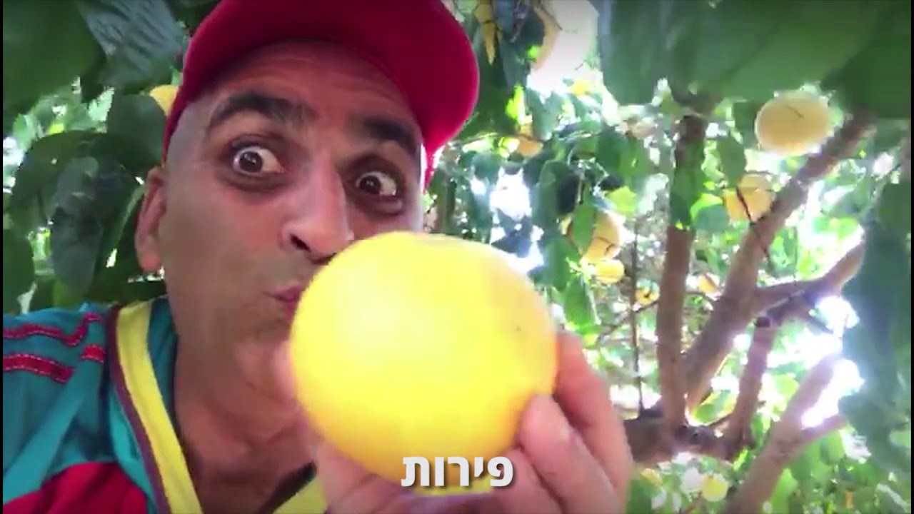 יובל המבולבל מאחל ט