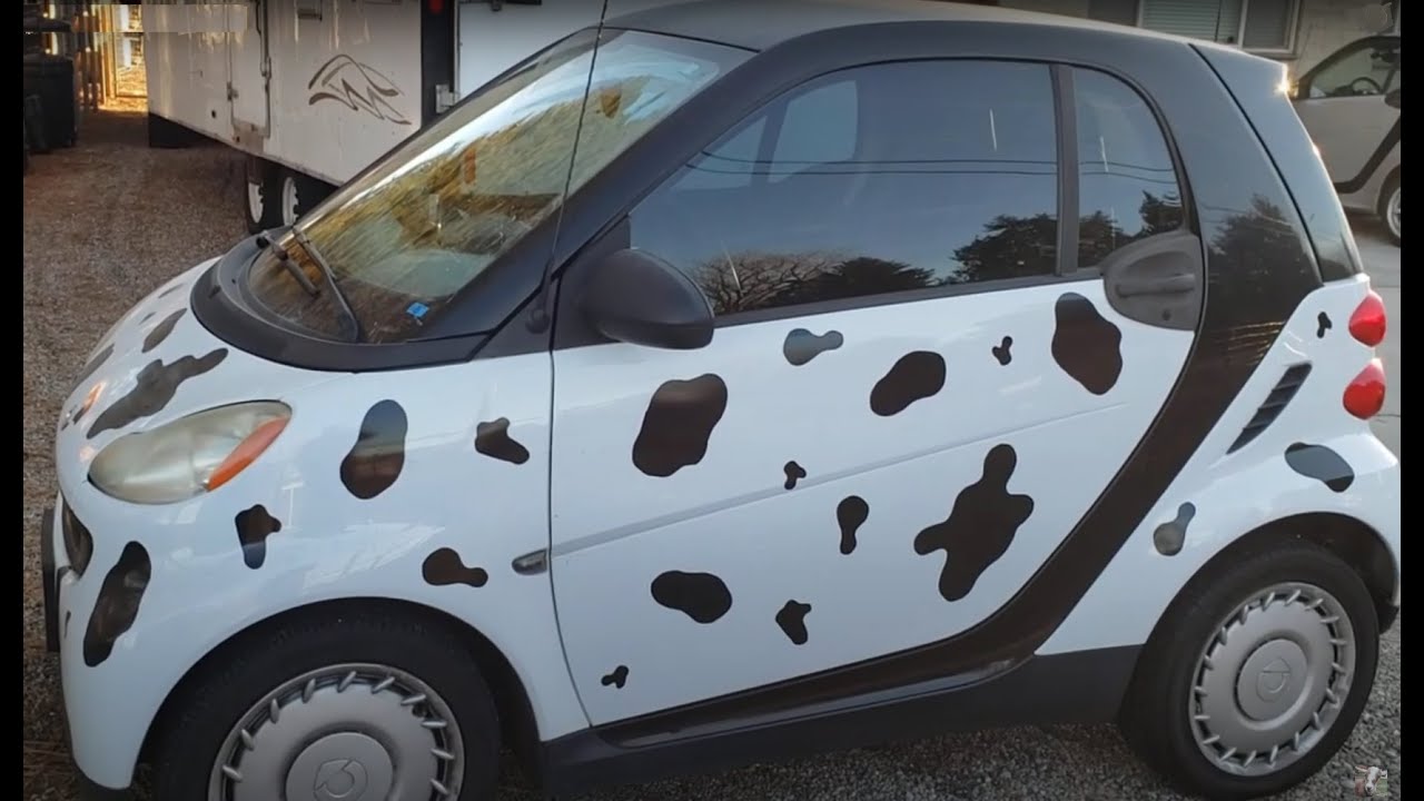 New Project 2009 Smart Fortwo 451 Cow or Dalmatian?
