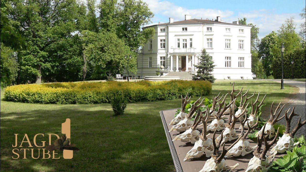 Bockjagd in der Region Pałuki