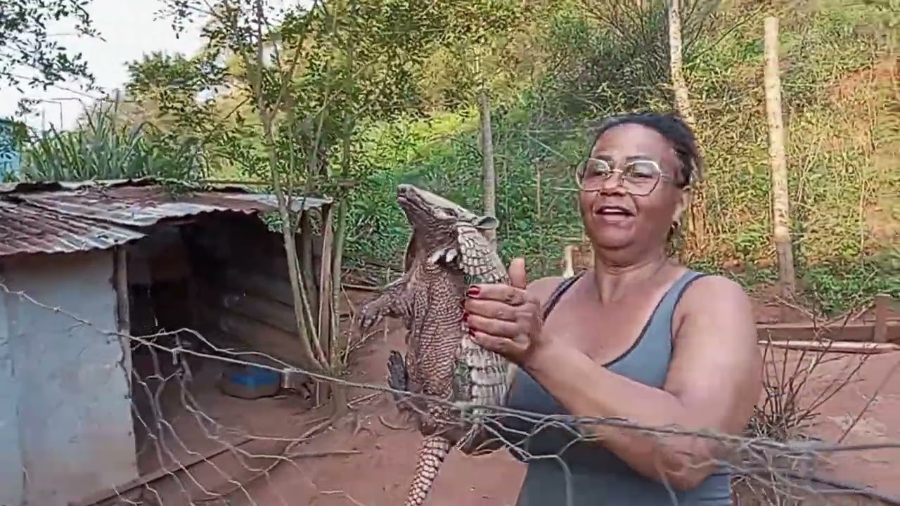 peguei UM  TATU GIGANTE NO MEU GALINHEIRO 🐔