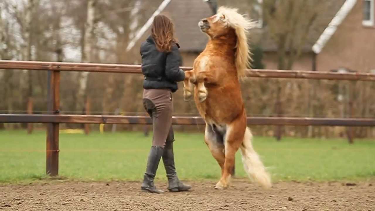 [MOVIE] The hearts of three, that beat as one..