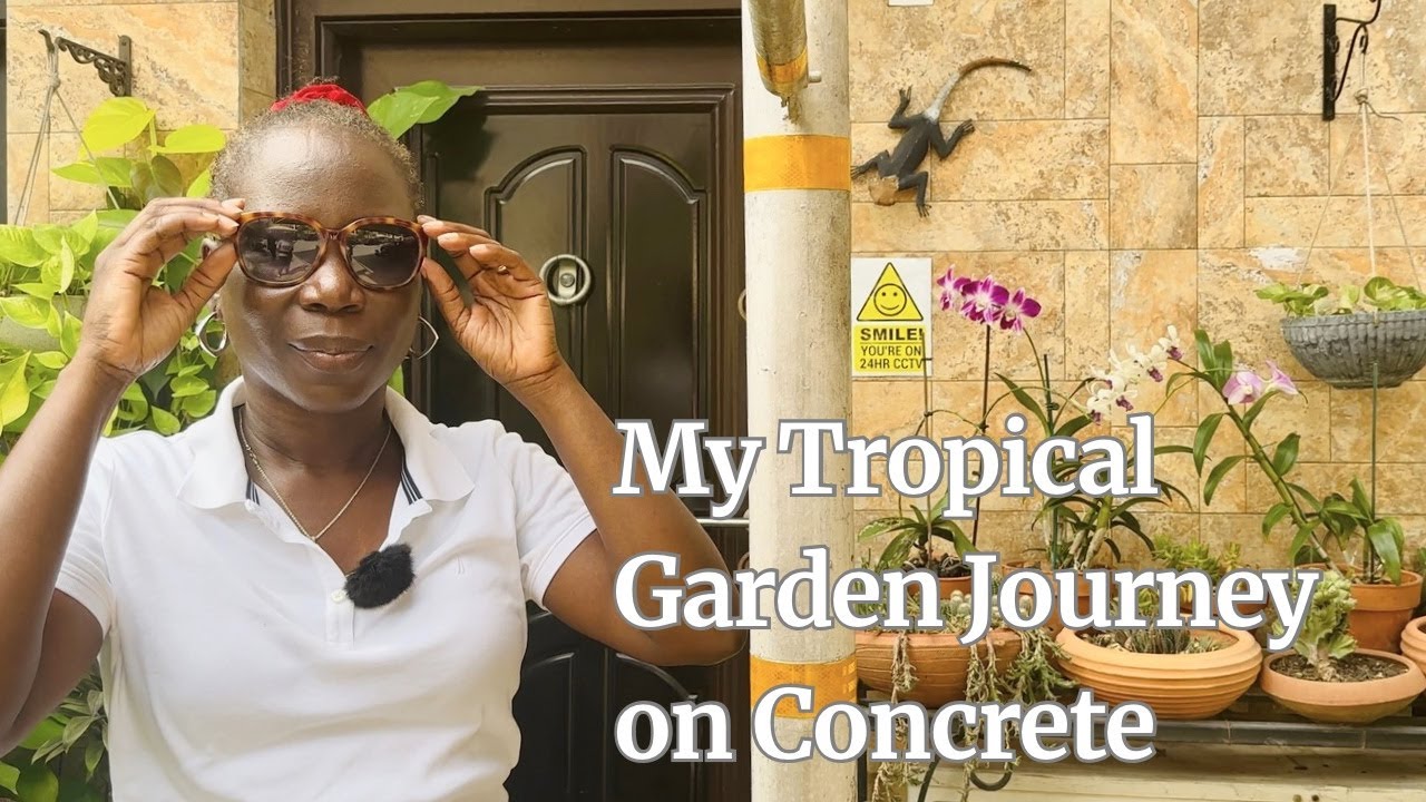 My Tropical Garden Journey on Concrete: Insights, Tips, and Challenges