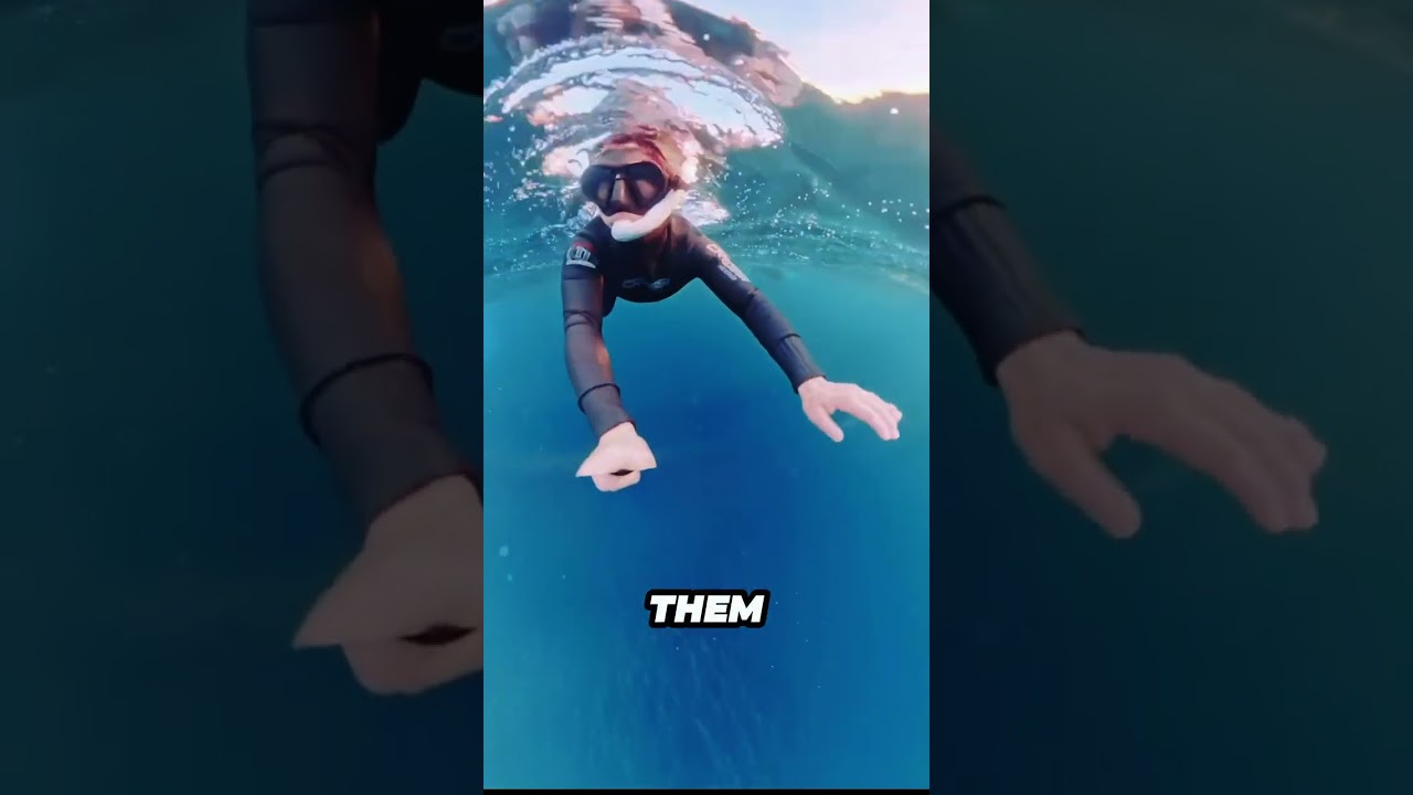 Что увидела эта фридайверша, что позволило ей спастись? 😳🌊