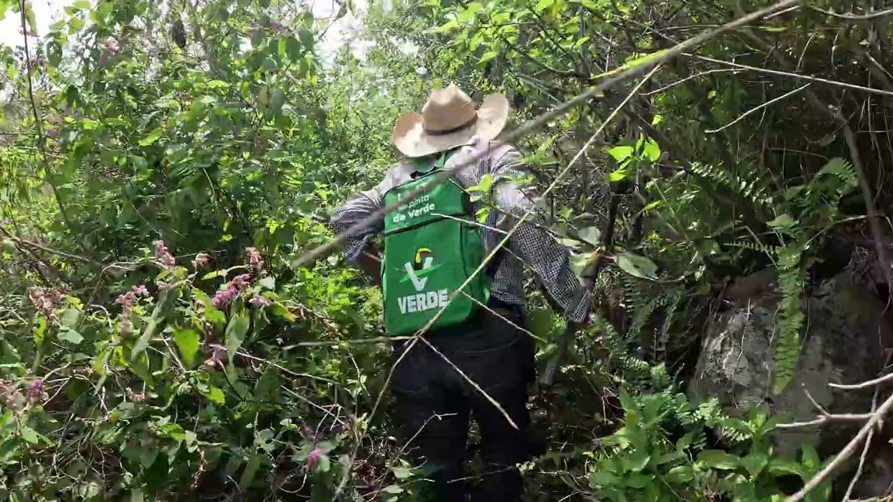 En busca de las piedras marcadas de Tuxcueca | Parte 1