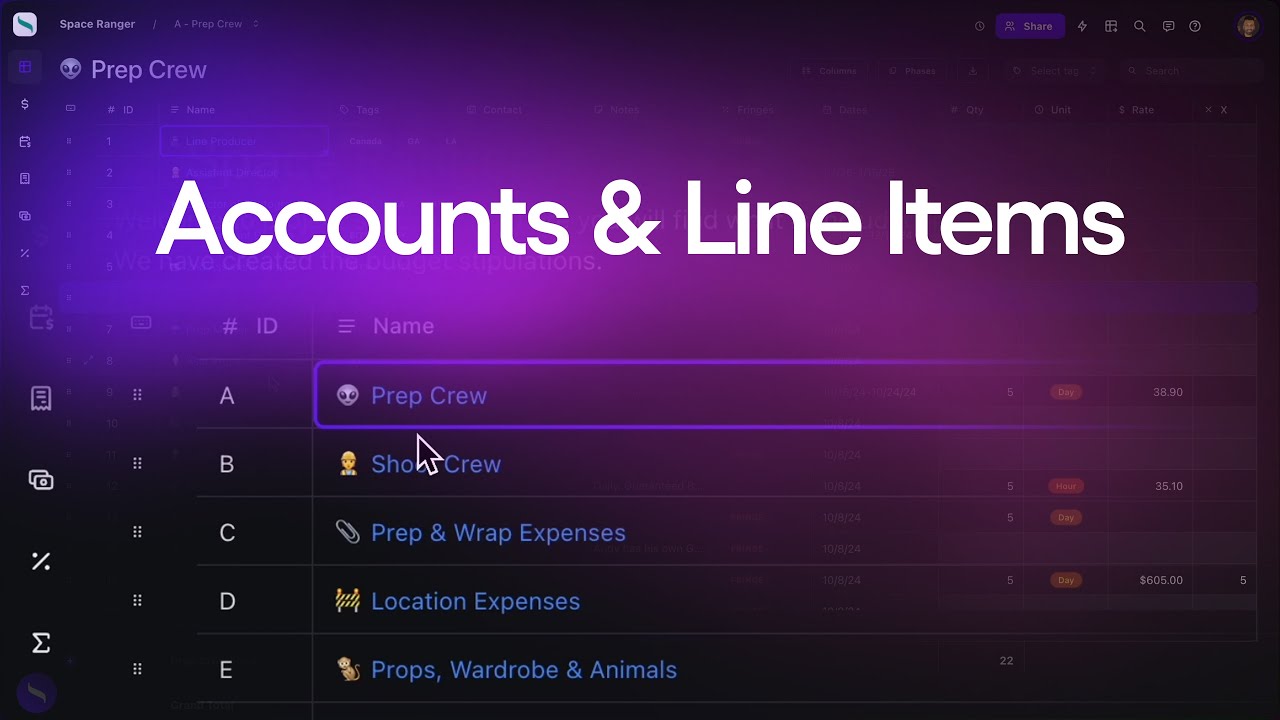 Using Line Items and Accounts in Saturation