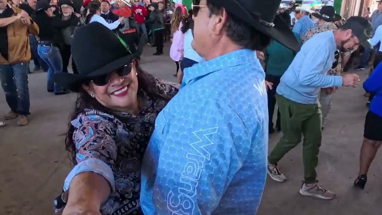 La pulga de Álamo TX.