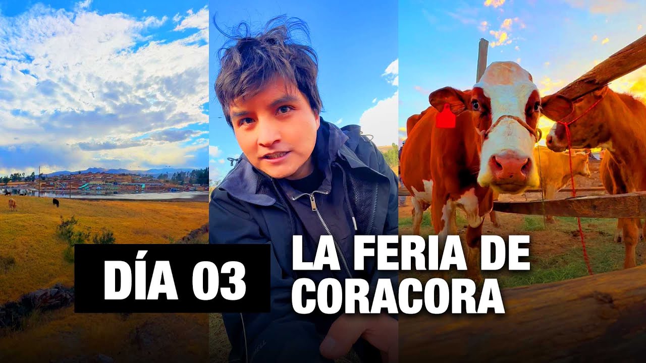 DÍA 03: La feria ganadera en Coracora 2023, en Ayacucho Perú. (KENNY)