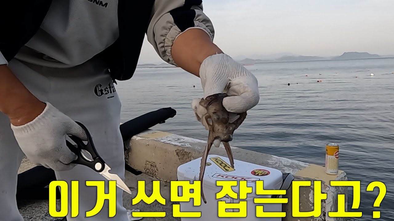 큰 민어 잡고 싶다구요?! 그럼 이 미끼 쓰면 되요 . 원투낚시 로 쉽게 잡아 보자. (feat. 팀쎈언니 , 깝용이 )