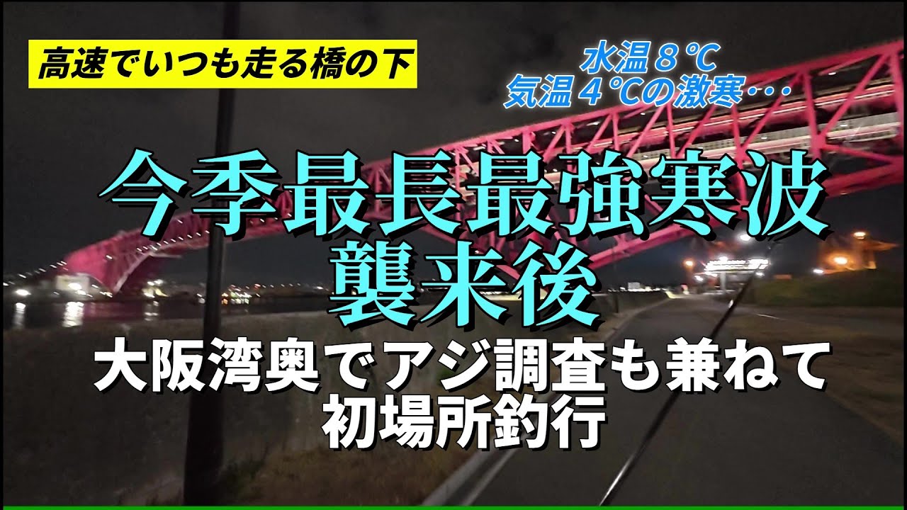 【強烈寒波後の実態】大阪湾奥でアジング調査した結果#大阪#アジング#大阪湾#メバル