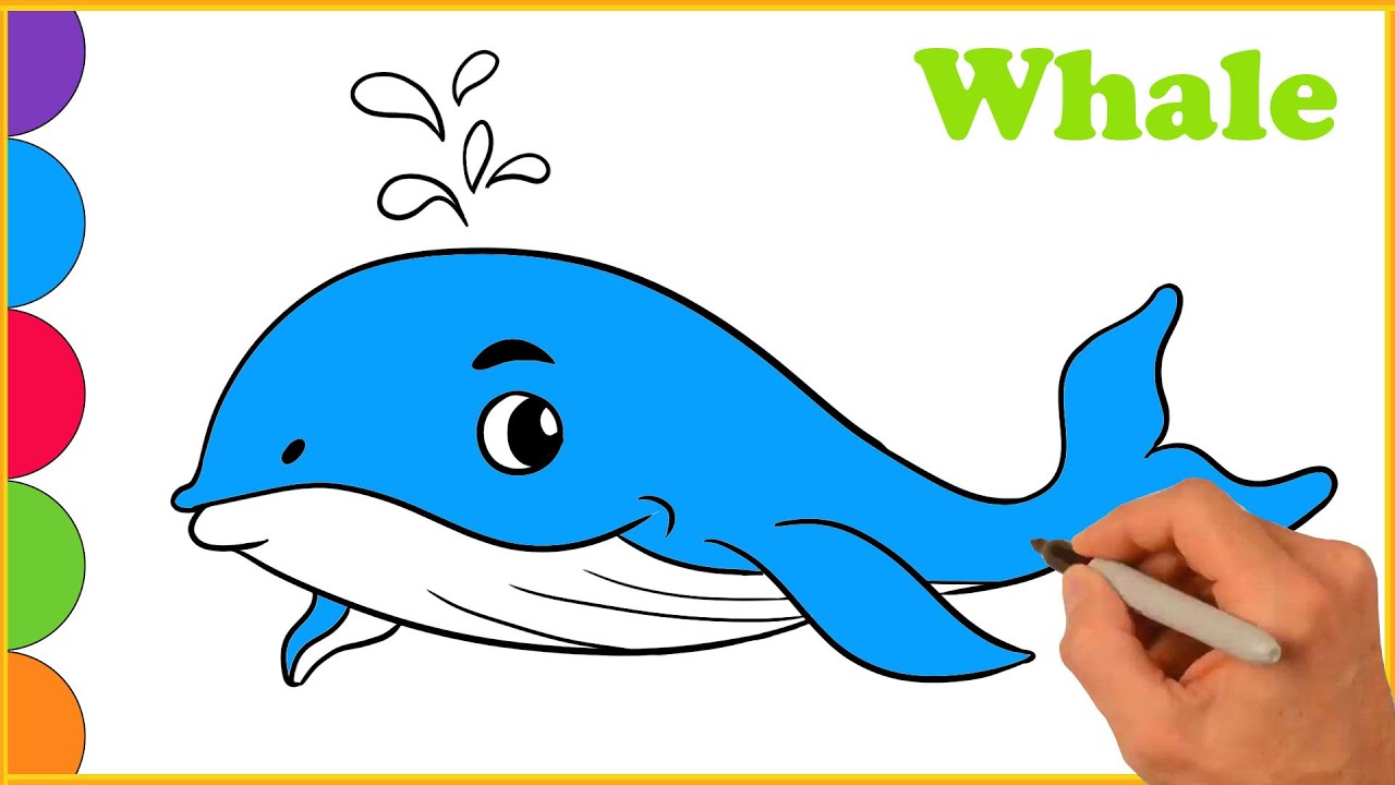 Whale Drawing ll Fish Drawing ll Easy Blue Whale drawing ll