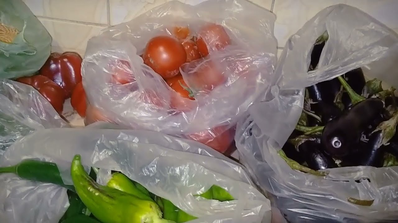 مشترياتى من الخضار والفاكهة من السوق النهاردة بالاسعار