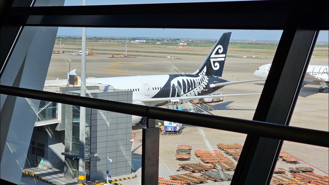 Air New Zealand Economy Class Trip Report Shanghai PVG 🇨🇳 to Auckland 🇳🇿 | B787-9 Dreamliner