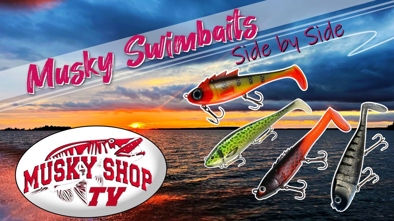 Swimbaits Side By Side