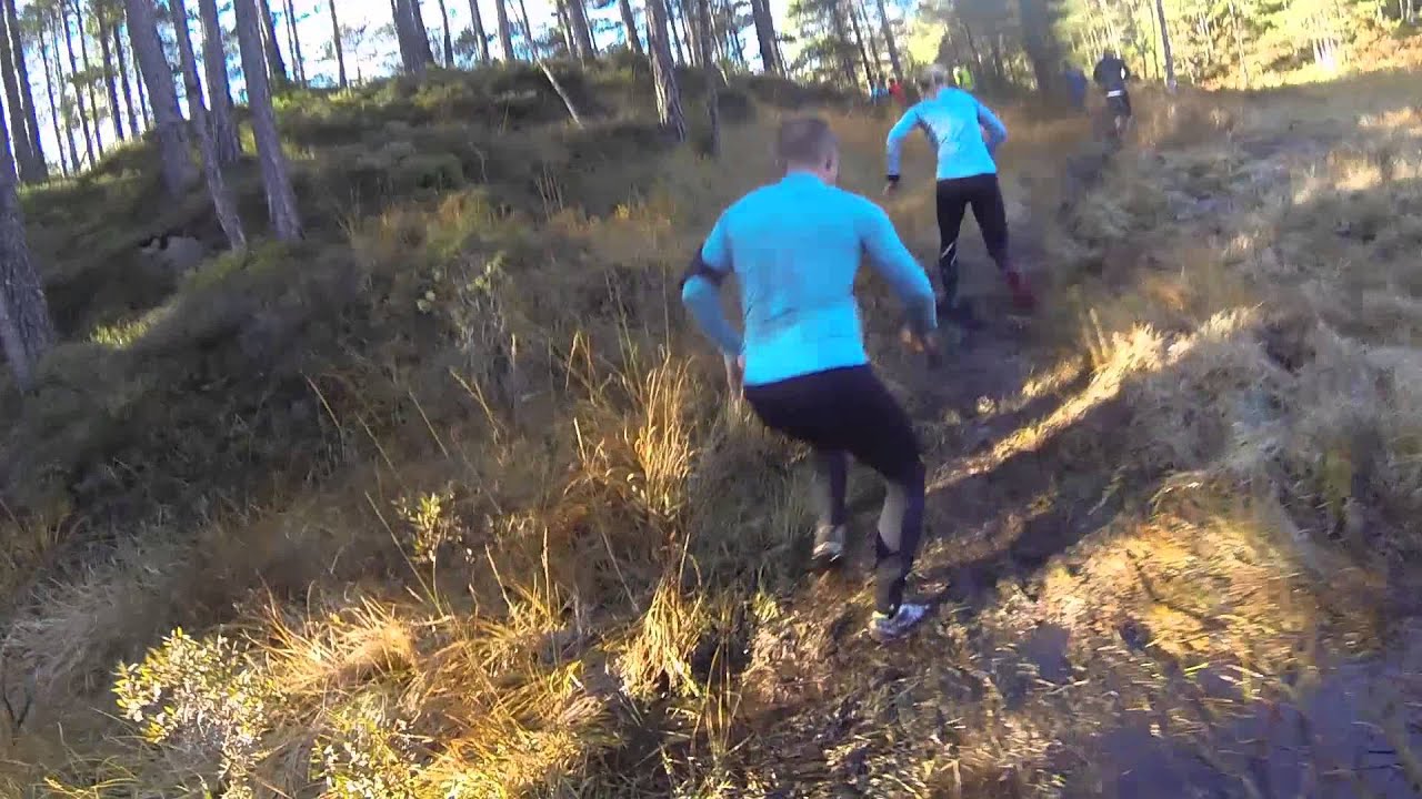 Svalandsgubben 2015