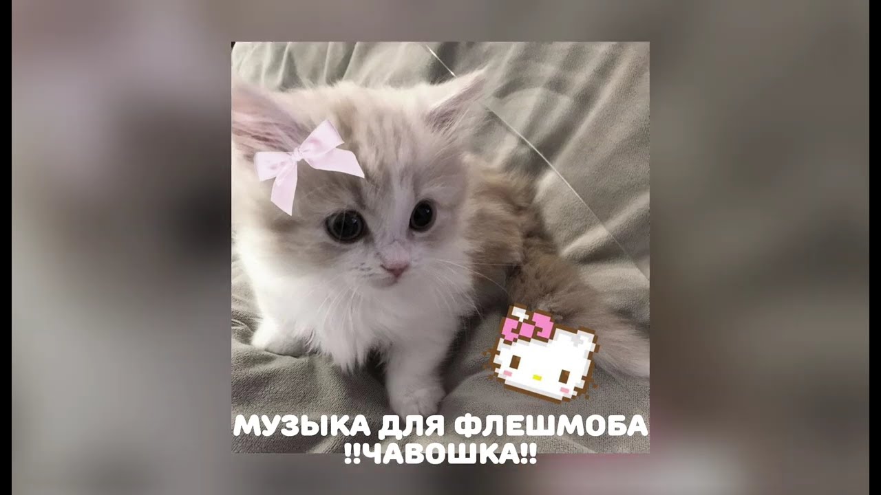 музыка для флешмоба!!//есть маты!/я вернулась)
