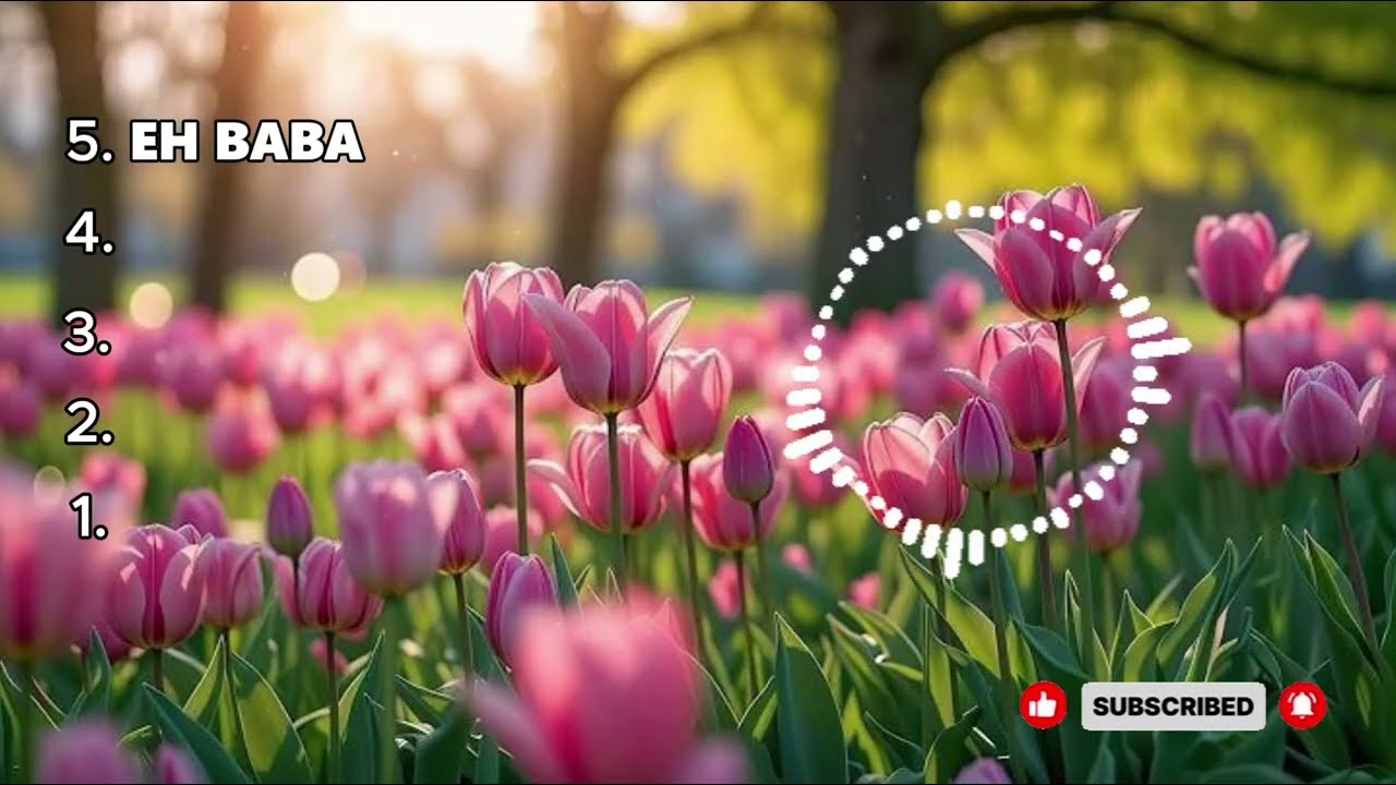 Top 05 des chansons Gospel qui fortifient la foi et élèvent l'âme ❤️‍🩹