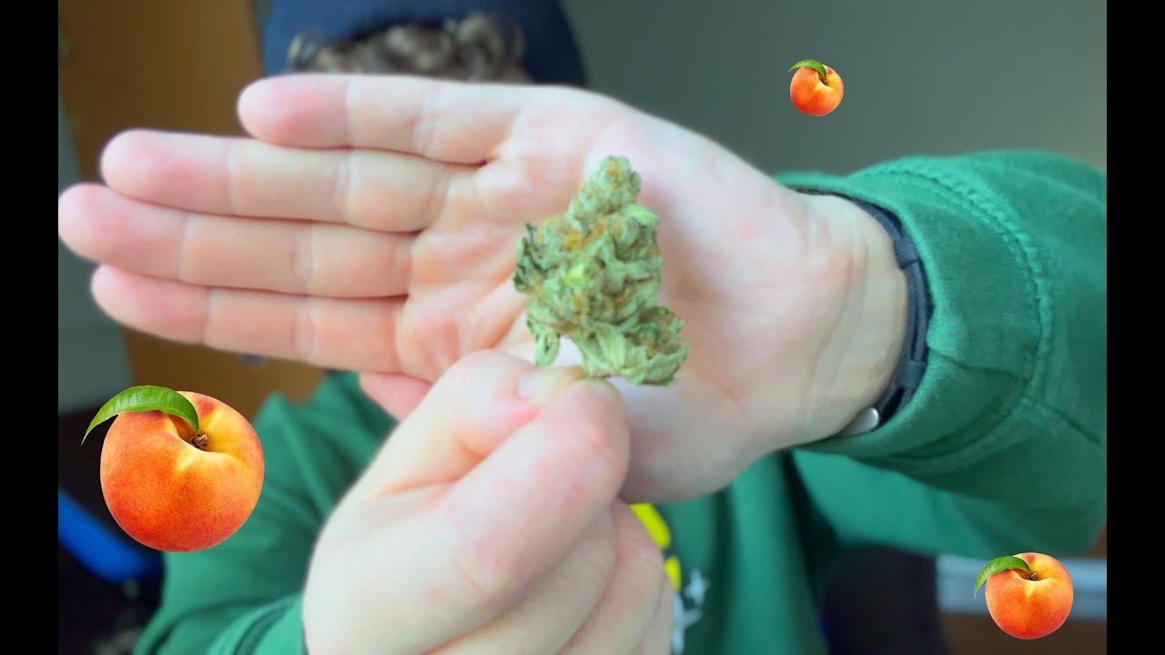 Peach Ozz Strain Review