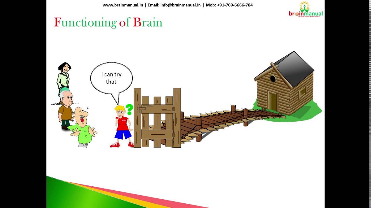 Functioning of the Brain (Module 2 - Fingerprint Analysis - DMIT)